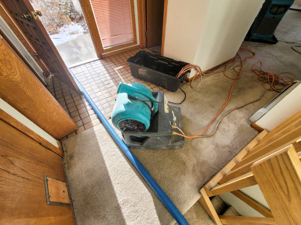 Best Basement water damage restoration  in Choteau, MT