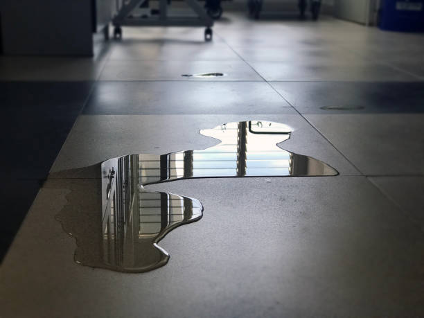 Best Water damage cleanup near me  in Choteau, MT