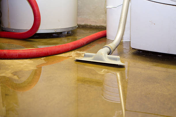 Best Mold removal after water damage  in Choteau, MT