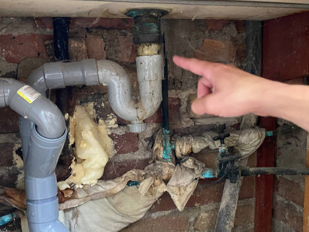  Choteau, MT Water damage restoration Pros